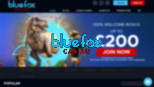 Blue Fox Casino Review