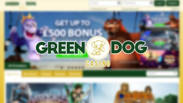 Green Dog Casino Review