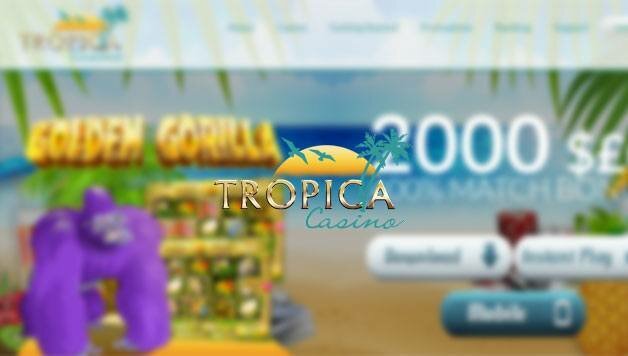 Tropica Casino Review